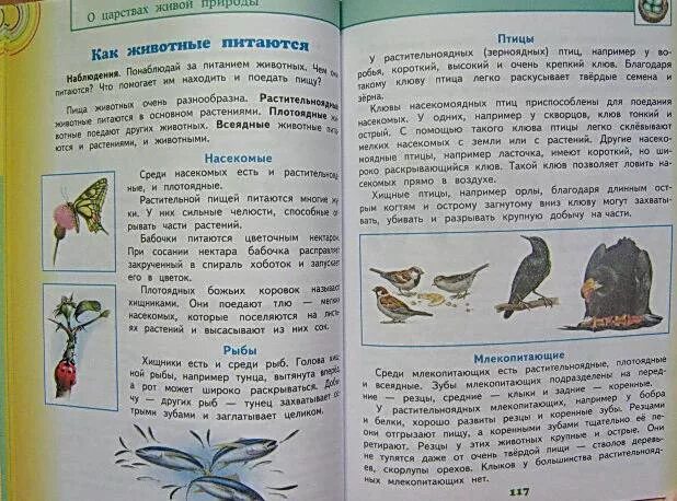 Учебник окр мир школа россии 4 класс. Учебники окружающий мир начальная школа. Окружающий мир 2 класс учебник 2 часть.