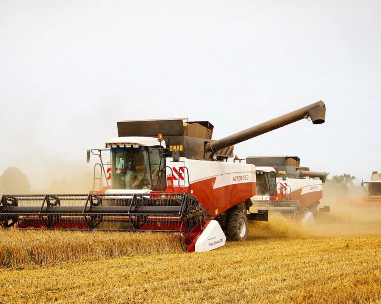 Сбор урожая пшеницы. Уборка урожая зерновых. Уборка пшеницы комбайном. Уборка урожая зерновых. Уборка урожая зерновых.