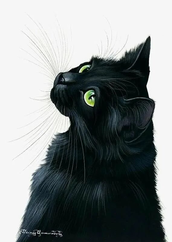 Рисунки черных котиков. Чёрный кот арт. Черная кошка. Черная кошка арт. Черная кошка с желтыми глазами арт.