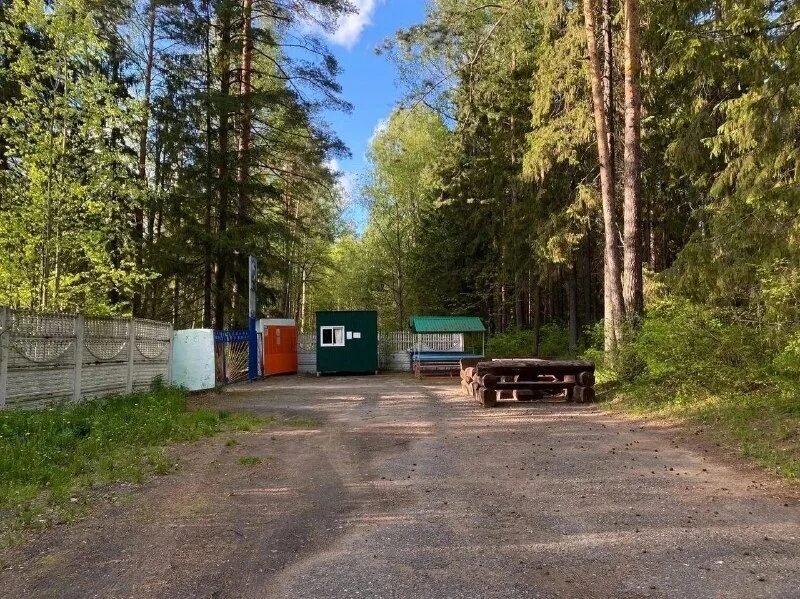 Памятник лосю в ижевске. 7 километр якшур бодьинского тракта. 7 километр якшур бодьинского тракта. Карта бодьинский тракт. Кафе у лося ижевск меню.