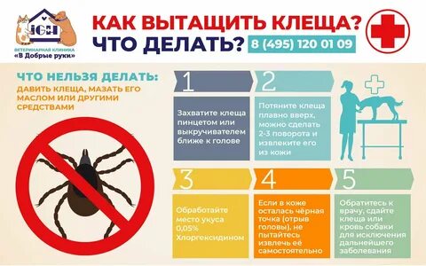 Лечение после клеща