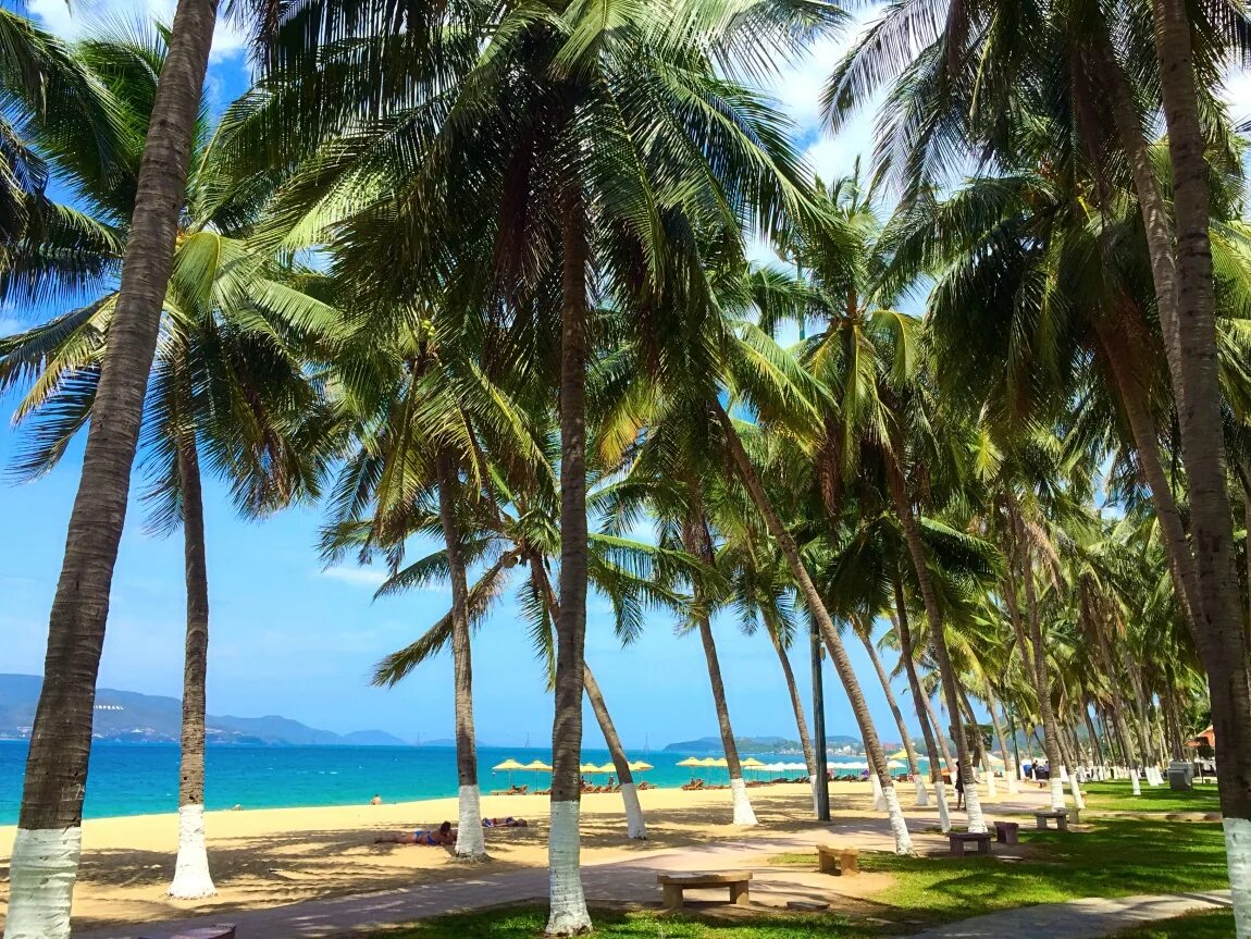 Нячанг в июле. Отдых в нячангетв мае и июне. Нячанг в июле. Нячанг. Вьетнам курорты.