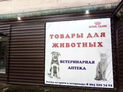 Аптека сосногорск