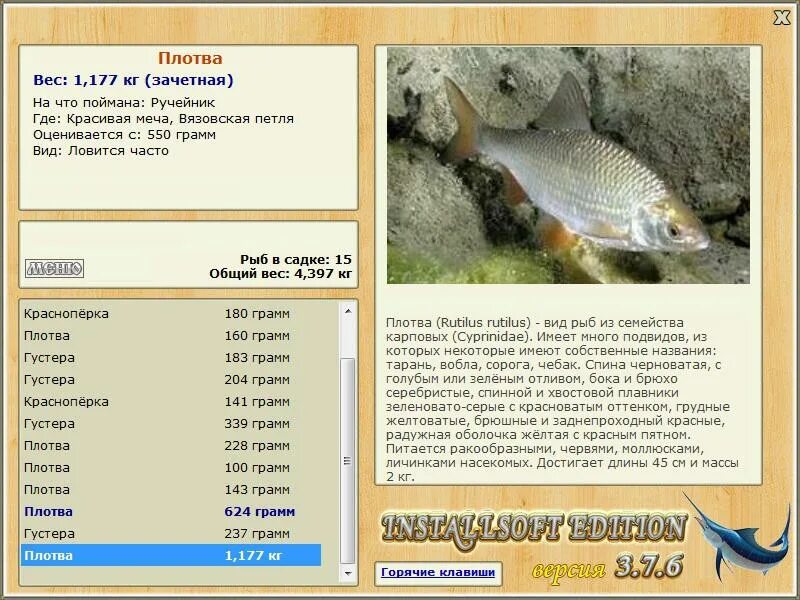 Судак красноперый. Налим плотва. Поймал рыбу. Налим вес. Налим плотва.