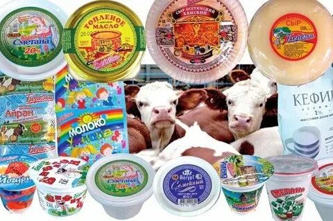 Северная продукция