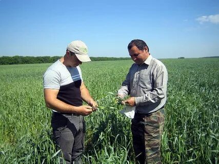 Обследование полей
