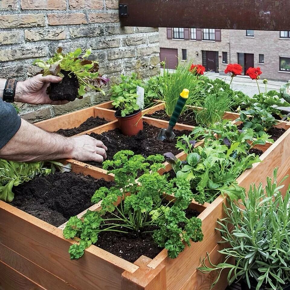 Сайт бест грядка. Подвязка огурцов на грядке с дугами. Обустройство теплицы 3 на 6 внутри. Сайт бест грядка. Красивый огород.