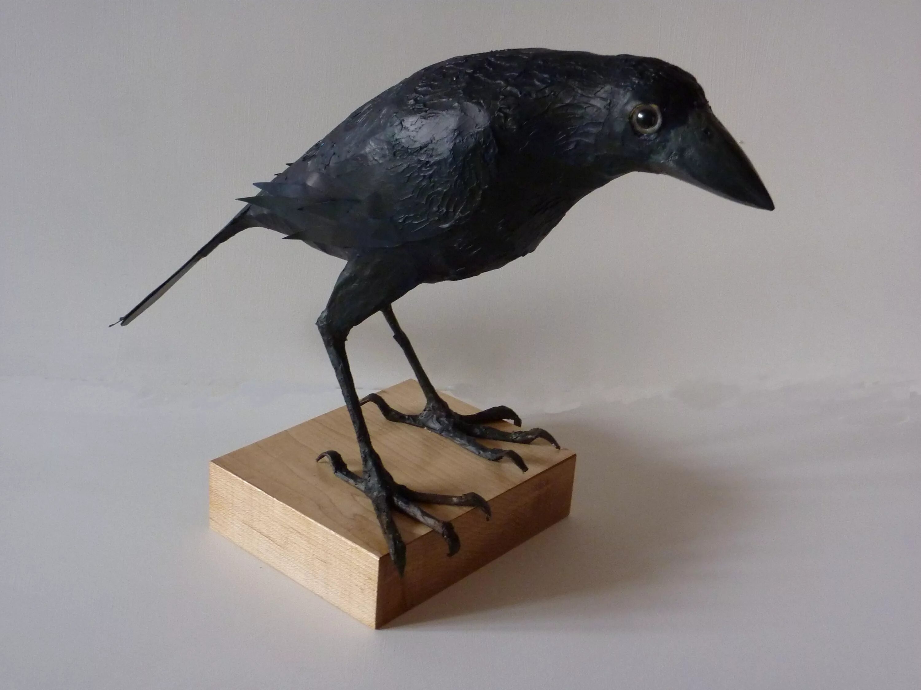 крыло ворона. самая умная птица. ворона в городе. «мудрый ворон». паперкрафт ворона.