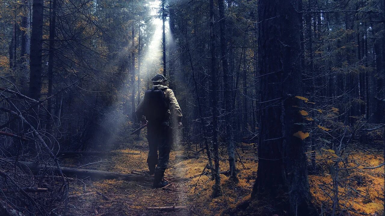 Человек в темном лесу. Человек заблудился в лесу. Человек один в лесу. Охотник в лесу.