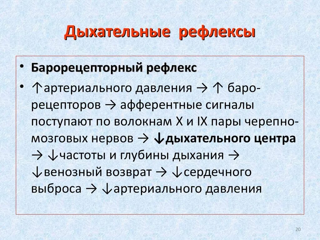 Дыхательные рефлексы человека