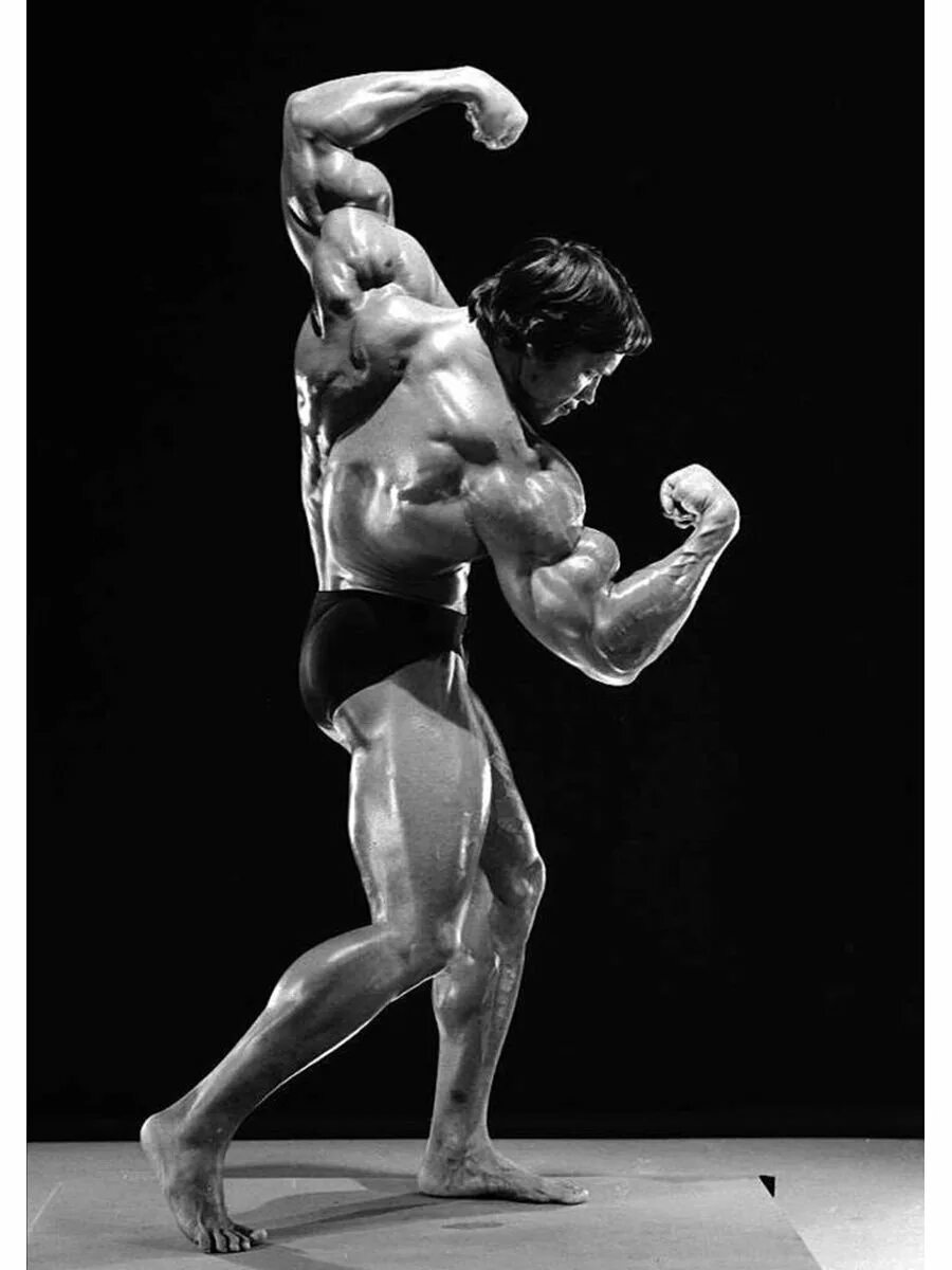 Arnold schwarzenegger позирование. Лунная поза в бодибилдинге. Лунная поза в бодибилдинге. Лунная поза в бодибилдинге. Лунная поза в бодибилдинге.