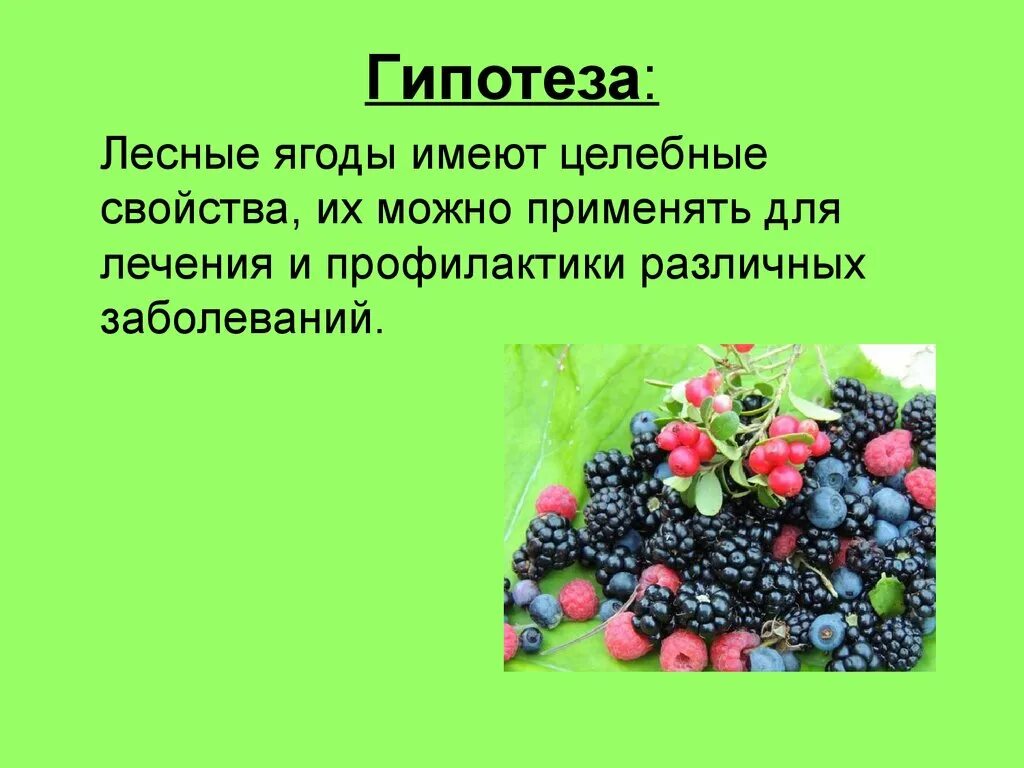 Лесные ягоды словами. Полезные дикорастущие ягоды. Ягоды описание. Лекарственные растения ягоды. Полезные Лесные ягоды.