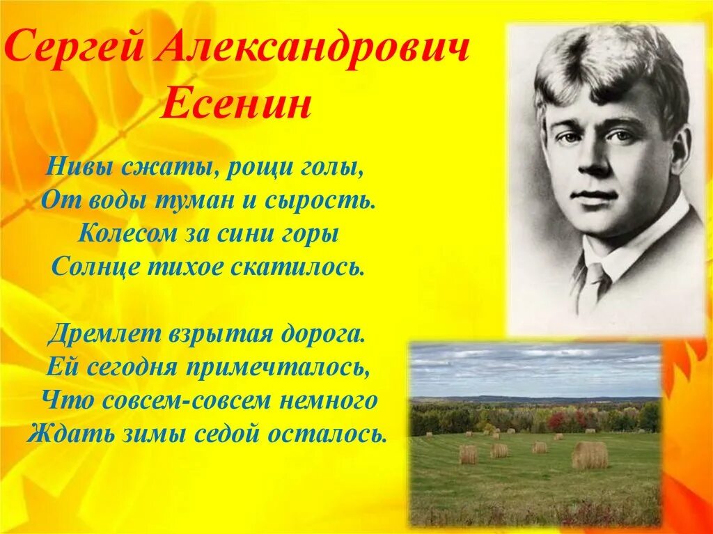 Стихотворение Сергея Александровича Есенина. Самые известные стихотворения Есенина Сергея Александровича. Какие темы звучат в стихотворениях есенина