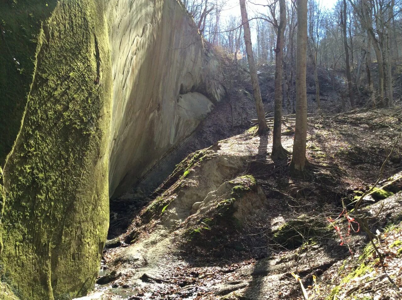 Grundfos scala2 3-45 график. Mustajarvi. скала график работы. зеркальная гора в горячем ключе. 46 автобус расписание скала росгосстрах.