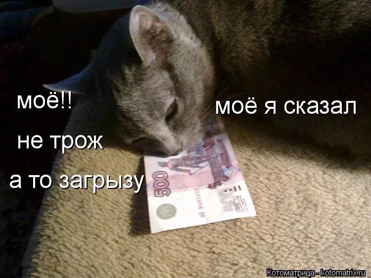 Трож. Ааааа. Надписи на футболке для мужчины. Трож. Нарисовать ахуеть.