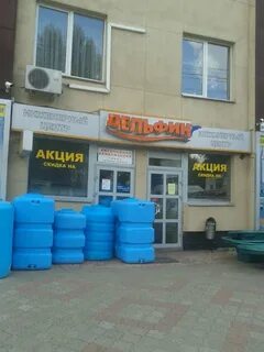 Дельфин новочеркасск