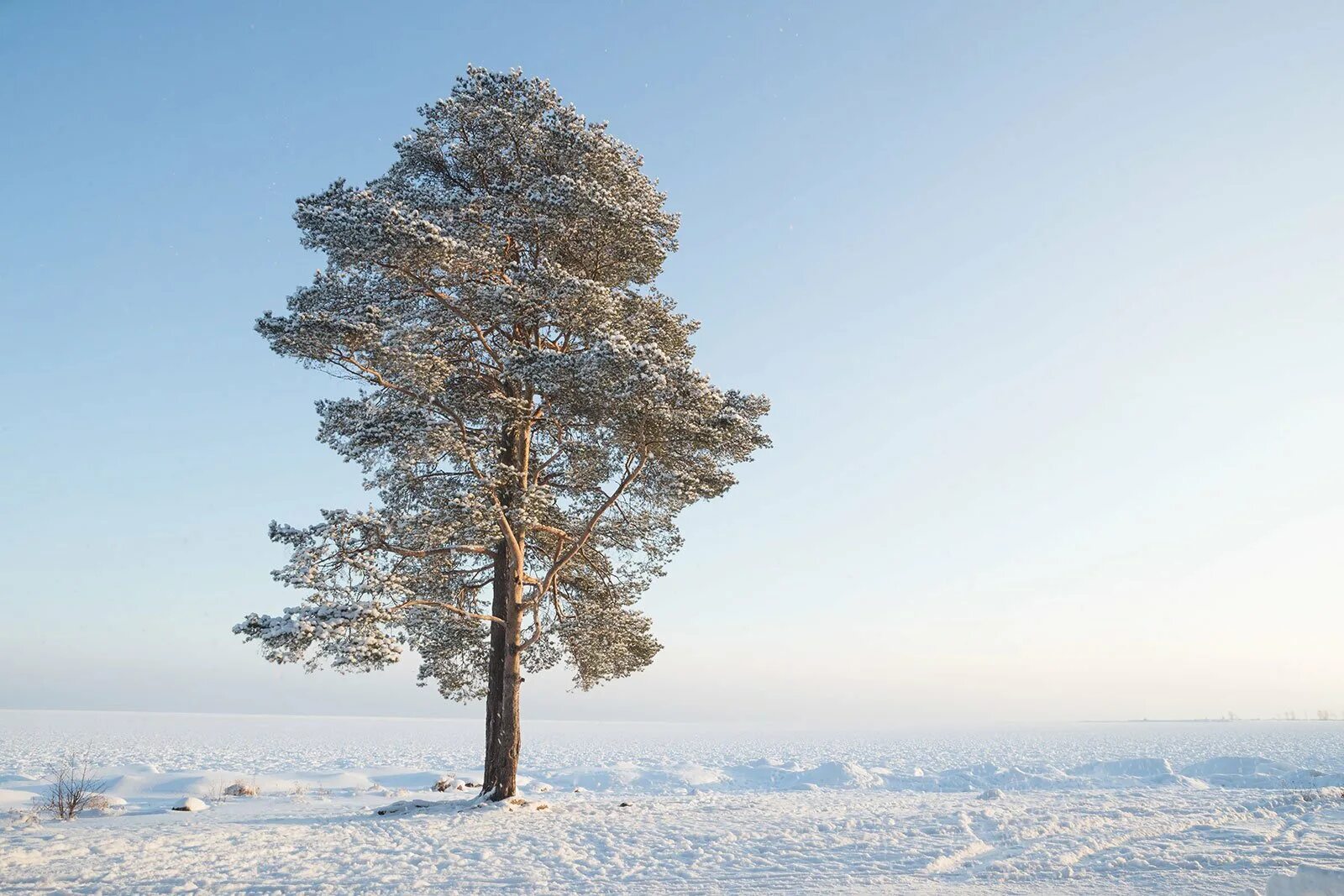 Онега зимой. Онежское озеро Петрозаводск зима. Онежское озеро зимой. Петрозаводск зимой. Карелия Петрозаводск зимой.