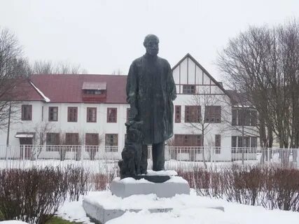 Павлово колтуши