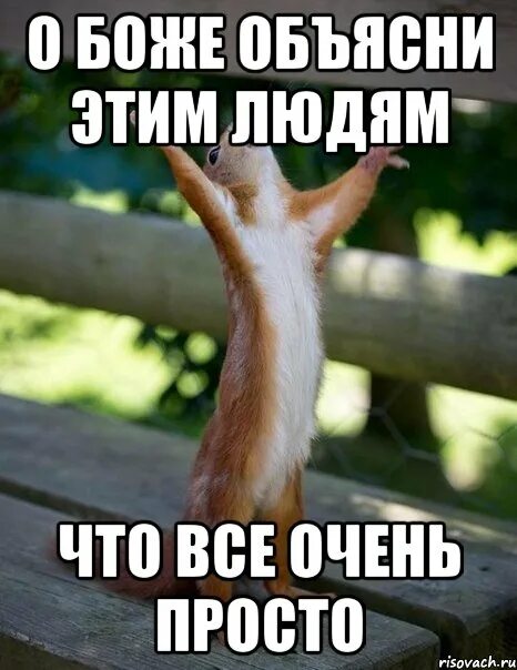 поставь просто просто маленький. просто всё очень просто. много лайков в вк. смешные фразы про математику. рисунки которые набирают много лайков.