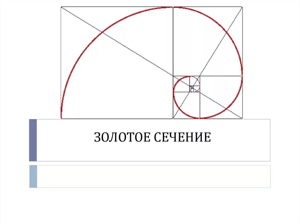 Золотое сечение рентгенодиагностические центры. Пифагор пропорции золотое сечение. Золотое сечение макет. Золотое сечение презентация. Золотое сечение сечение.