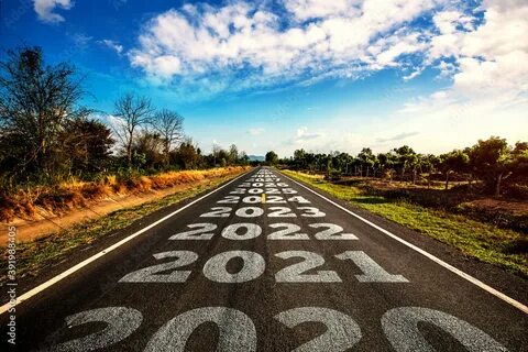 Природа лета 2025 года