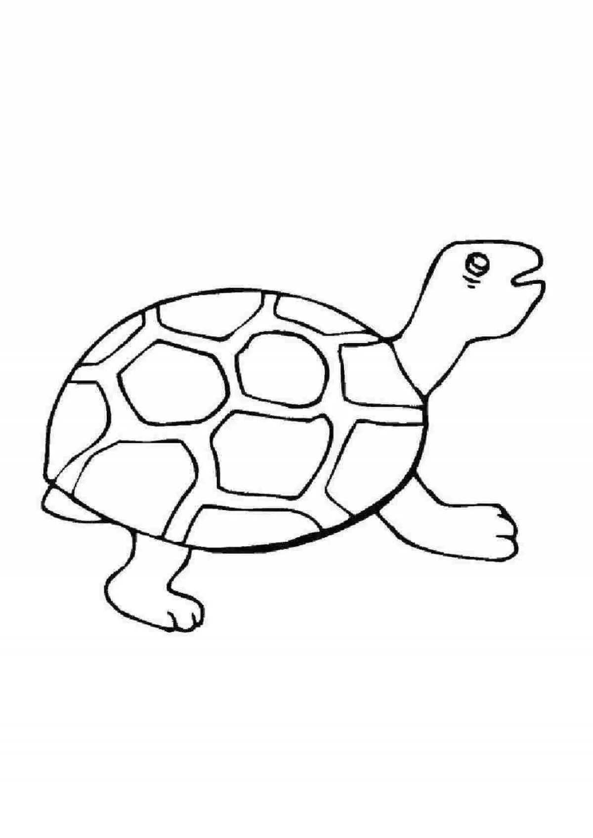 Turtle write