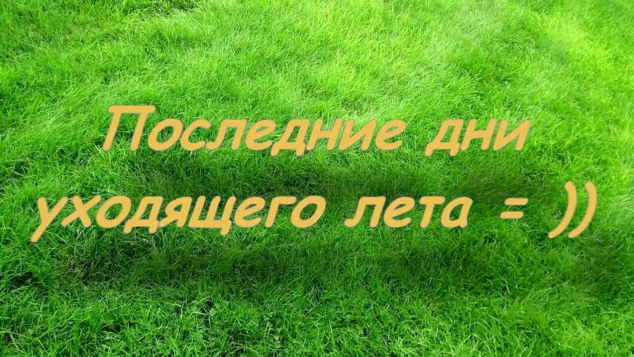 Последние деньки лета. Последний день лета. Последние дни уходящего лета. Выходные уходящего лета.