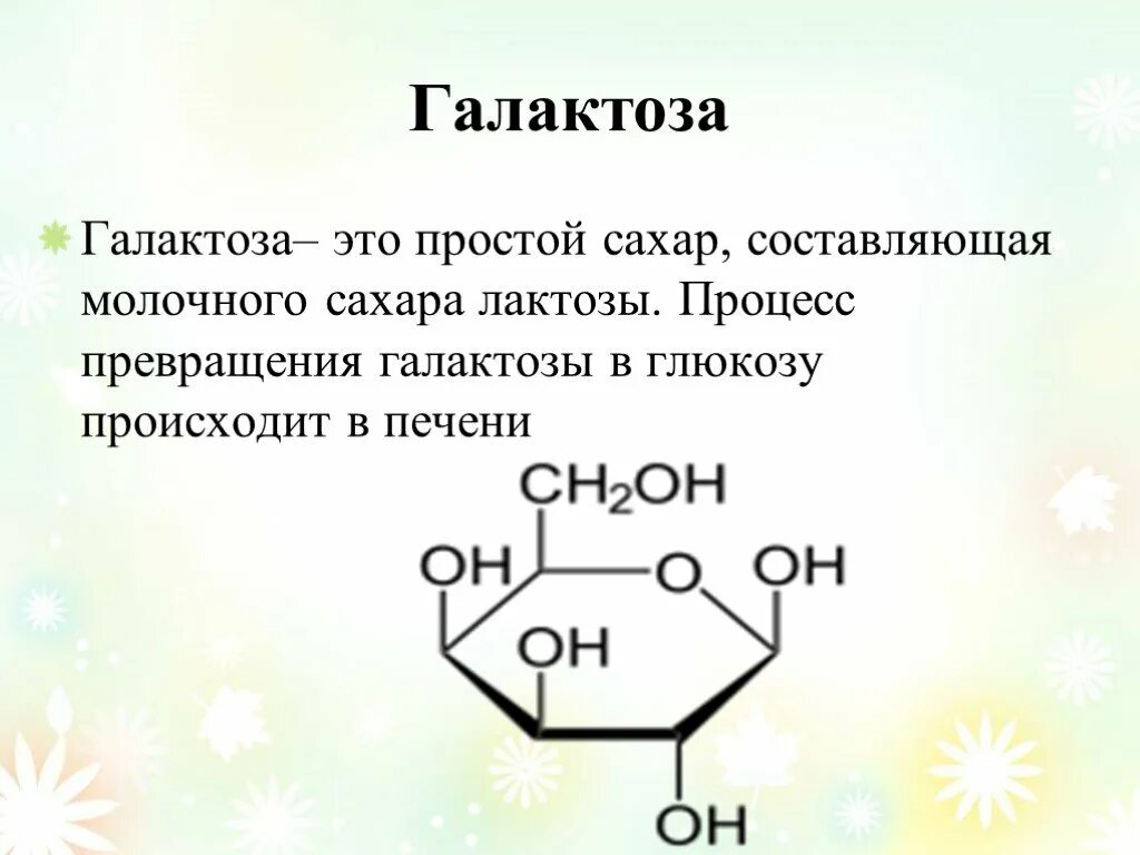 Галактоза что это