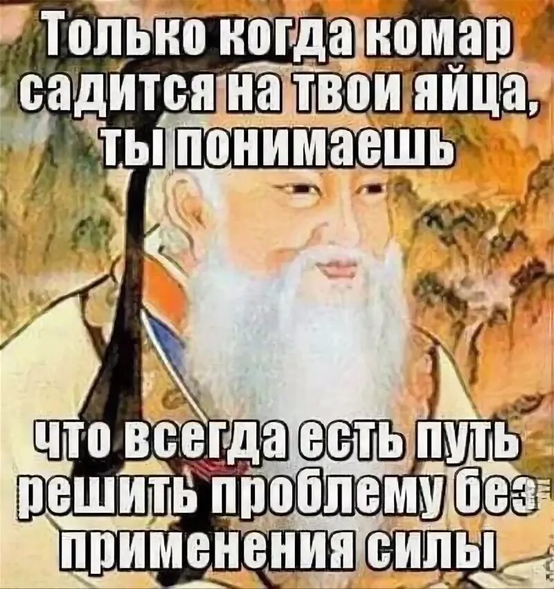 Это возможно только тогда. Конфуций цитаты приколы. только когда комар садится.