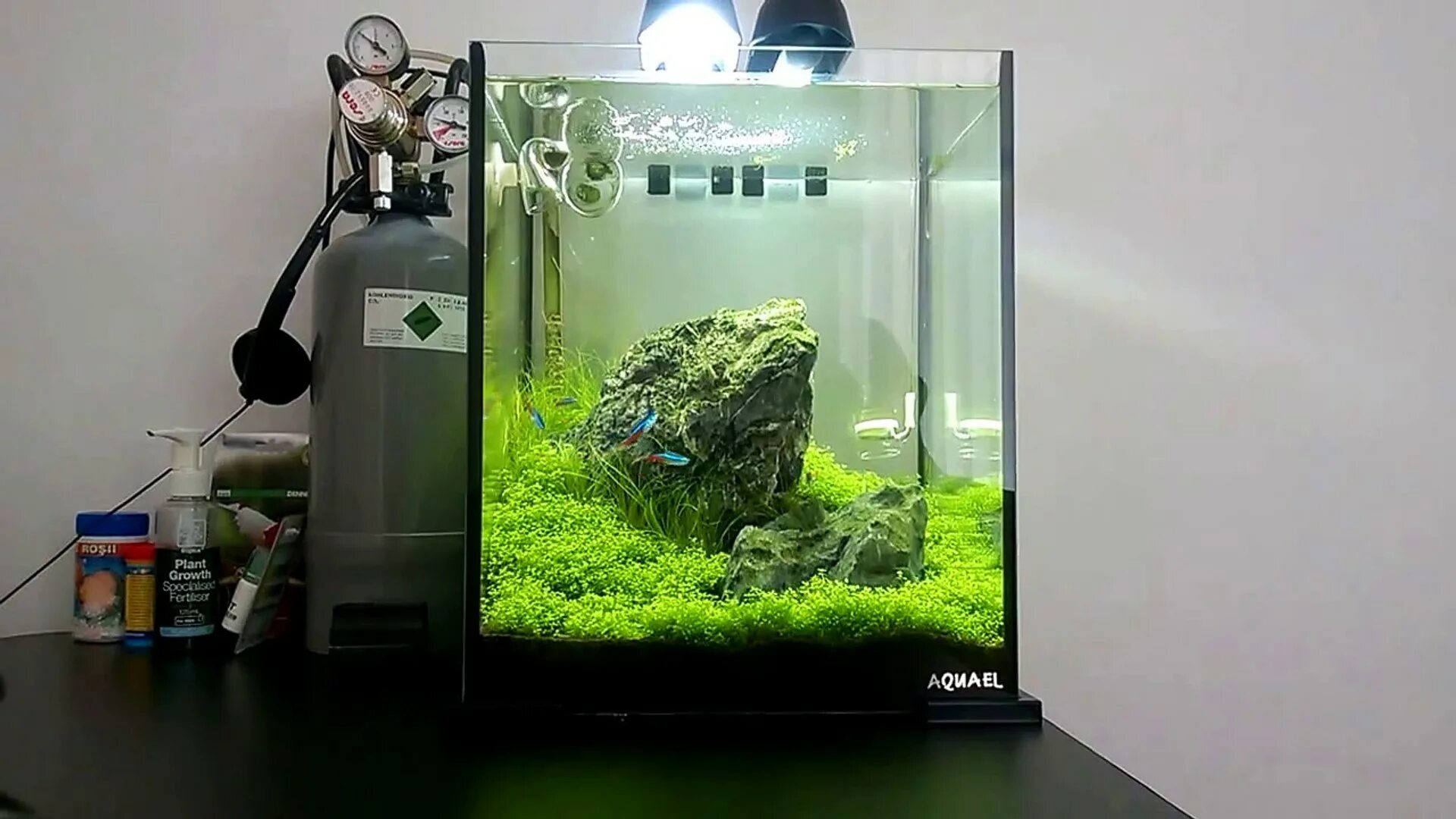 Аквариум акваэль 10 литров куб. Aquael shrimp set smart led plant ll 30 black. Аквариум aquael aqua4home. Аквариум aquael 30. Aquael куб 30л.