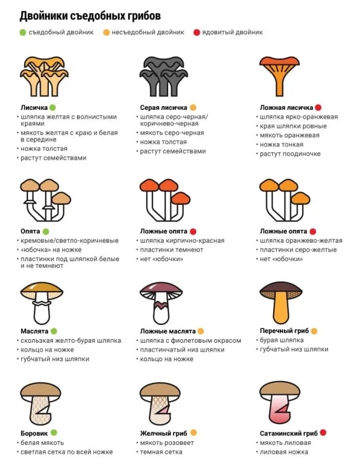 Отличить съедобные грибы от несъедобных. Съедобные грибы и несъедобные грибы двойники. Как отличить съедобный гриб от ядовитого памятка. Съедобные грибы и несъедобные грибы различия.