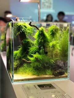 Аквариумная выставка