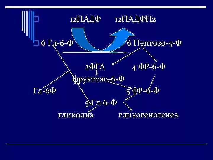 Надфн2. НАДФ И НАДФН. Надн2 и надфн2. НАДФН расшифровка. П гл 6