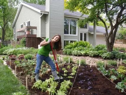 The gardener has planted