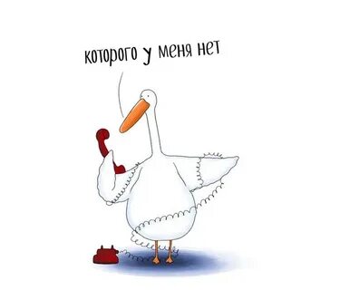 Записи гуся