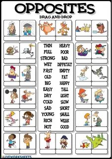 Opposite exercises