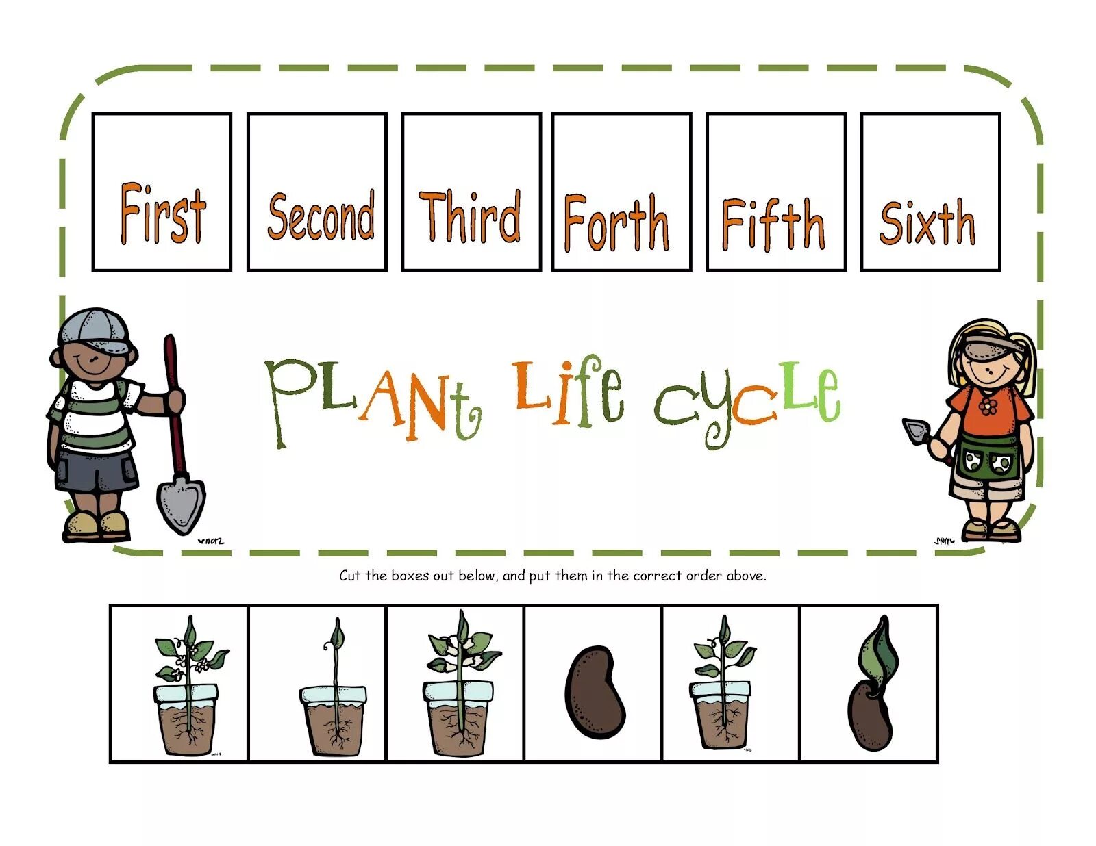 Plant cycle. Растения Worksheets for Kids. Life Cycle Worksheet. Growing Plants Worksheets. Plant Life Cycle Worksheets.