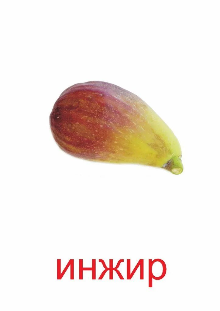 Со скольки лет можно инжир детям. Инжир для детей. карточки домана фрукты фрукты. фрукты картинки для детей карточки. карточки инжир.