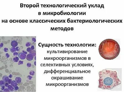 Микробиология методичка
