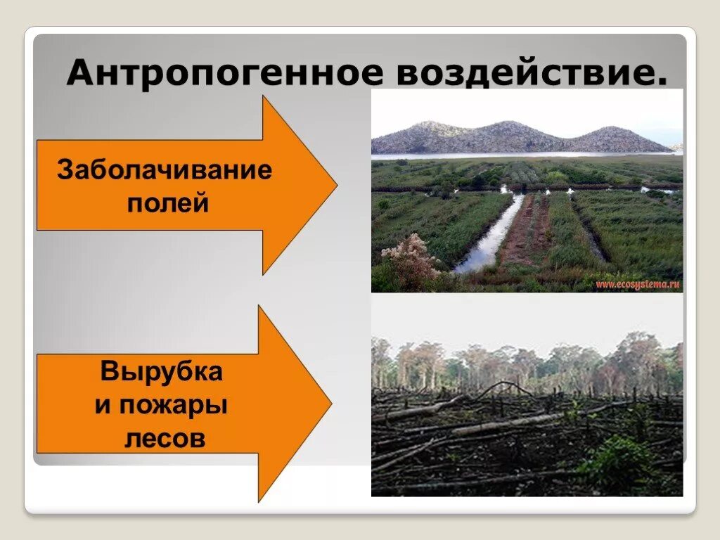 Антропогенное воздействие. Антропогенное воздействие человека. Антропогенное влияние. Антропогенное воздействие на природу.