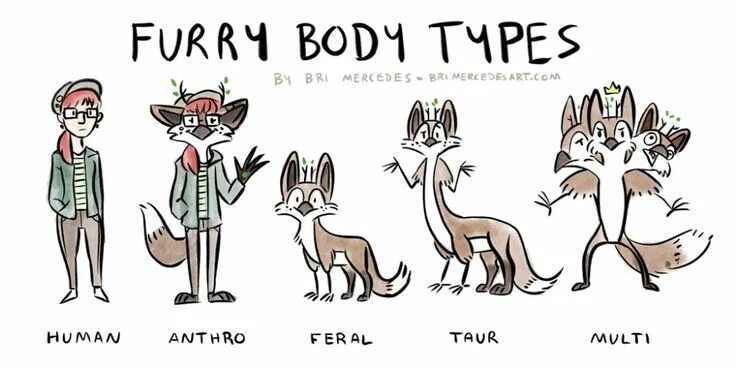 Фурри в системе субкультурных образований проект Pin on Furries