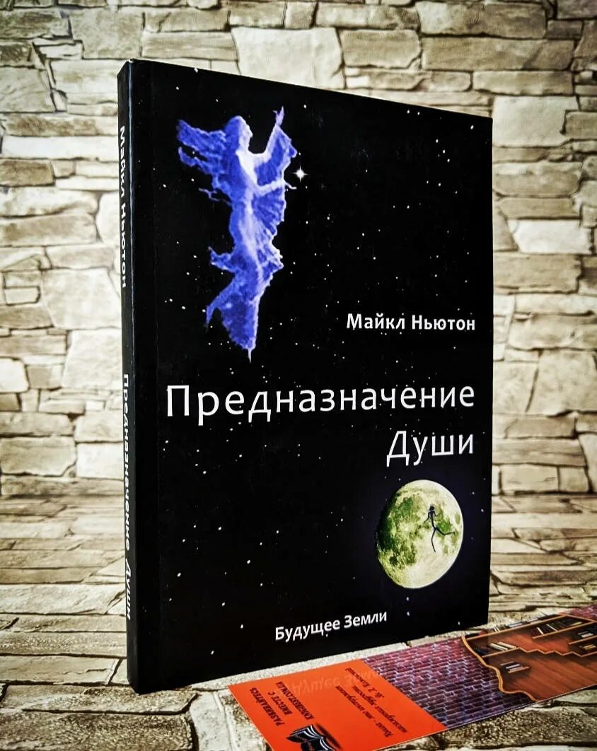 Книга предназначение. Ньютон книга предназначение души