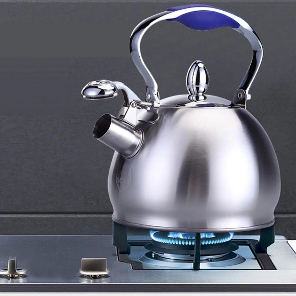 Лучший чайник из нержавеющей стали. Чайник из нержавеющей стали Stainless Steel Tea kettle. Чайник Whistling kettle. Чайник на ГАЗ. Красивые чайники для газовой плиты.