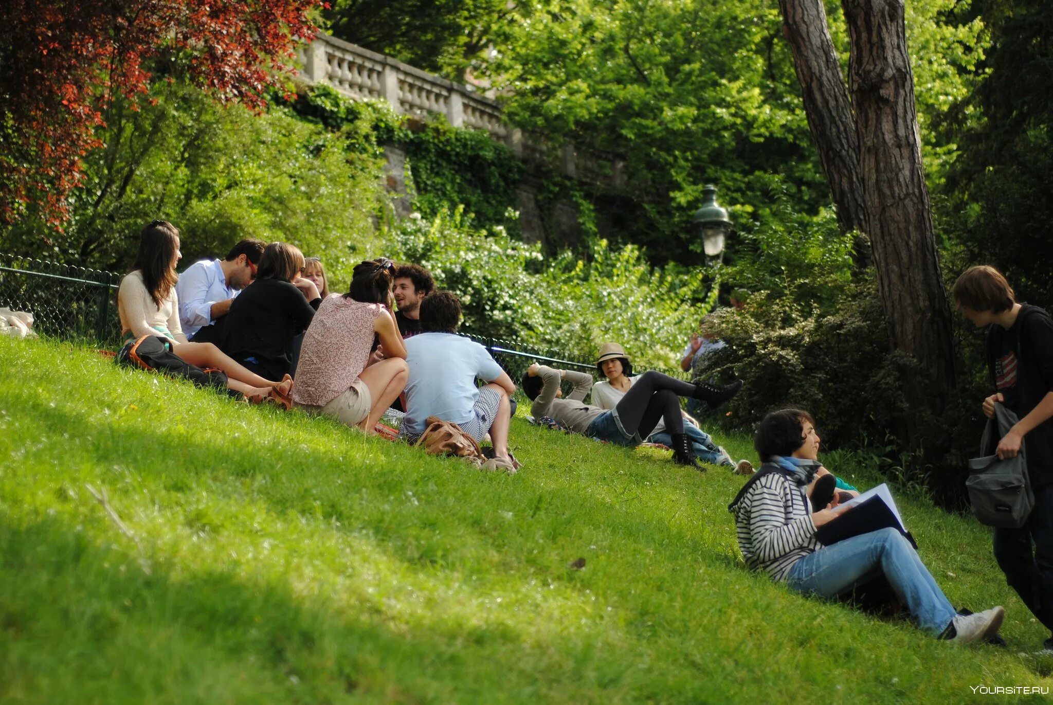 Lot of people in the park. Люди в парке. Люди на газоне. Пикник на газоне в парке. Парк с людьми.