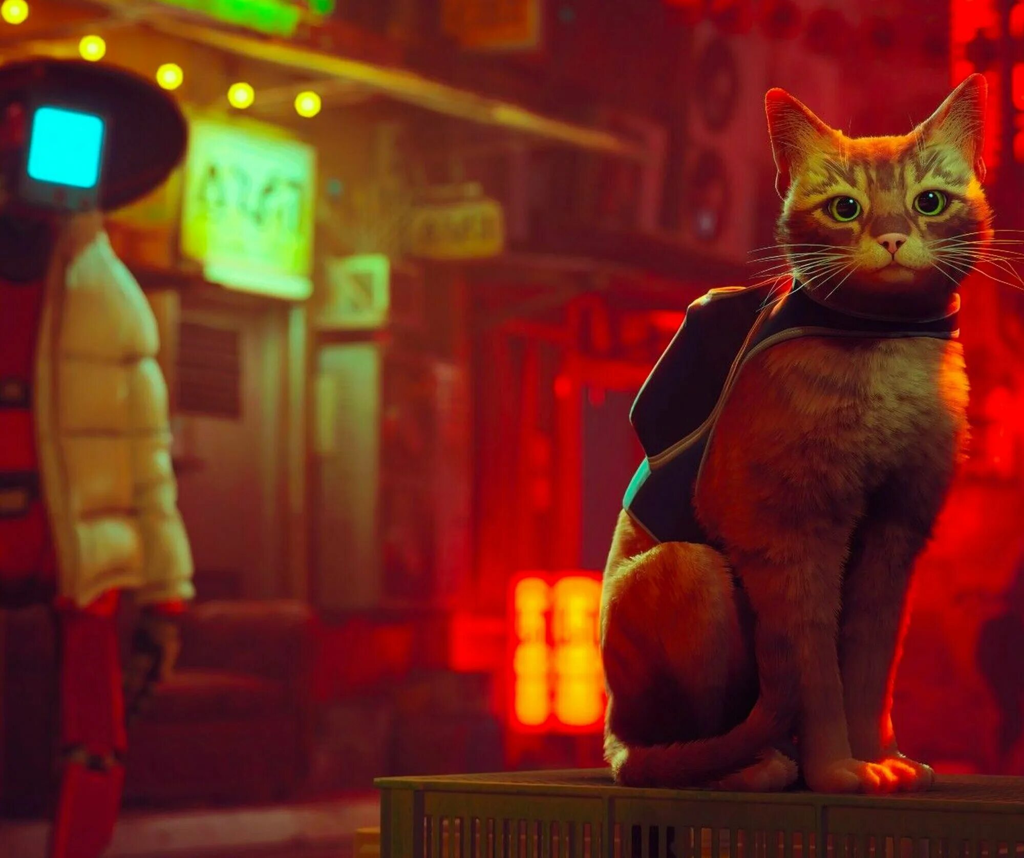 Игра Stray (PlayStation 5, Русские субтитры) - купить в интернет-магазине по низ