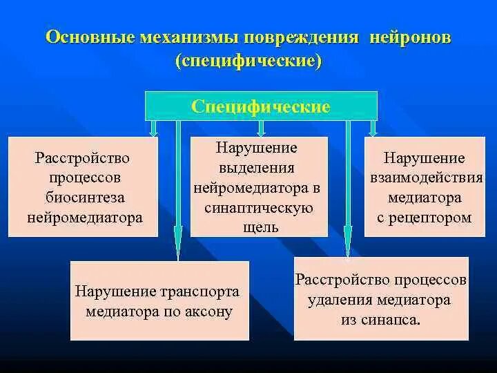 Специфические повреждения нейронов. Механизм повреждения нейрона. Неспецифические механизмы повреждения нейронов. Причины повреждения нейронов.