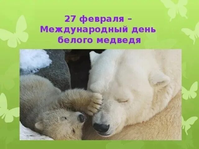 27 Февраля Международный день белого медведя. Международный день полярного белого медведя 27 февраля. День белого медведя. Жень белог медведя.
