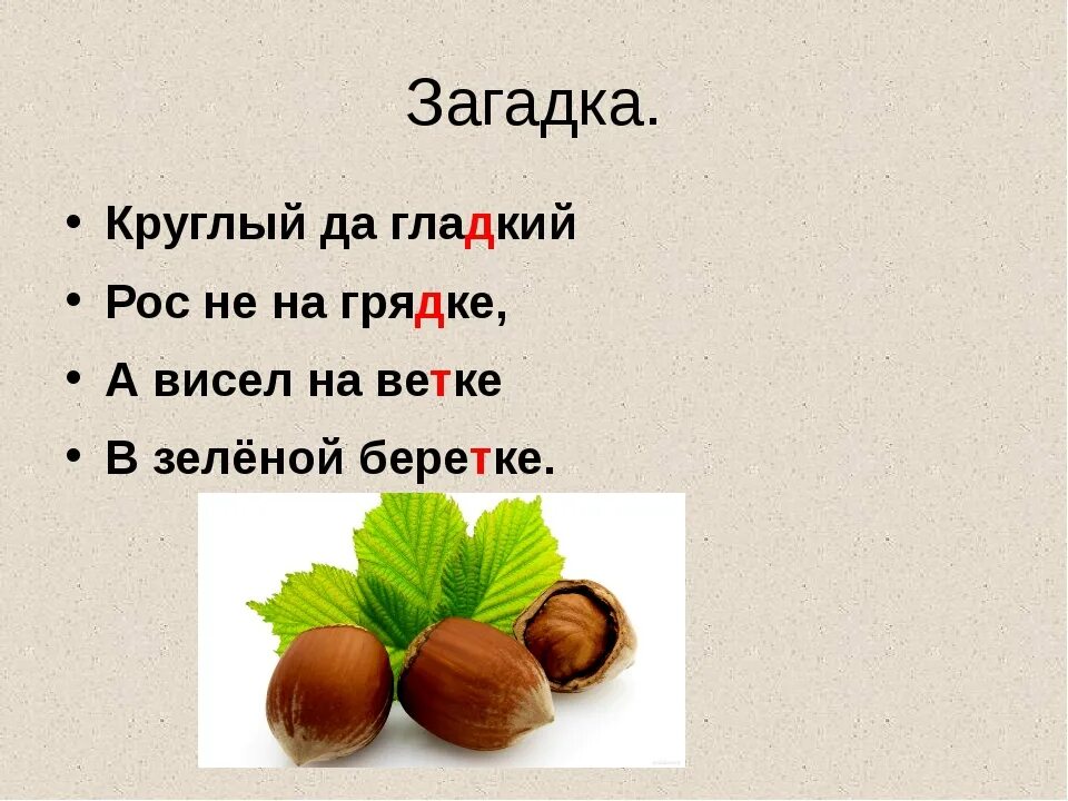 Загадка про орех. Загадка про орех для детей. Загадка про орешки. Загадка про ореховое дерево.