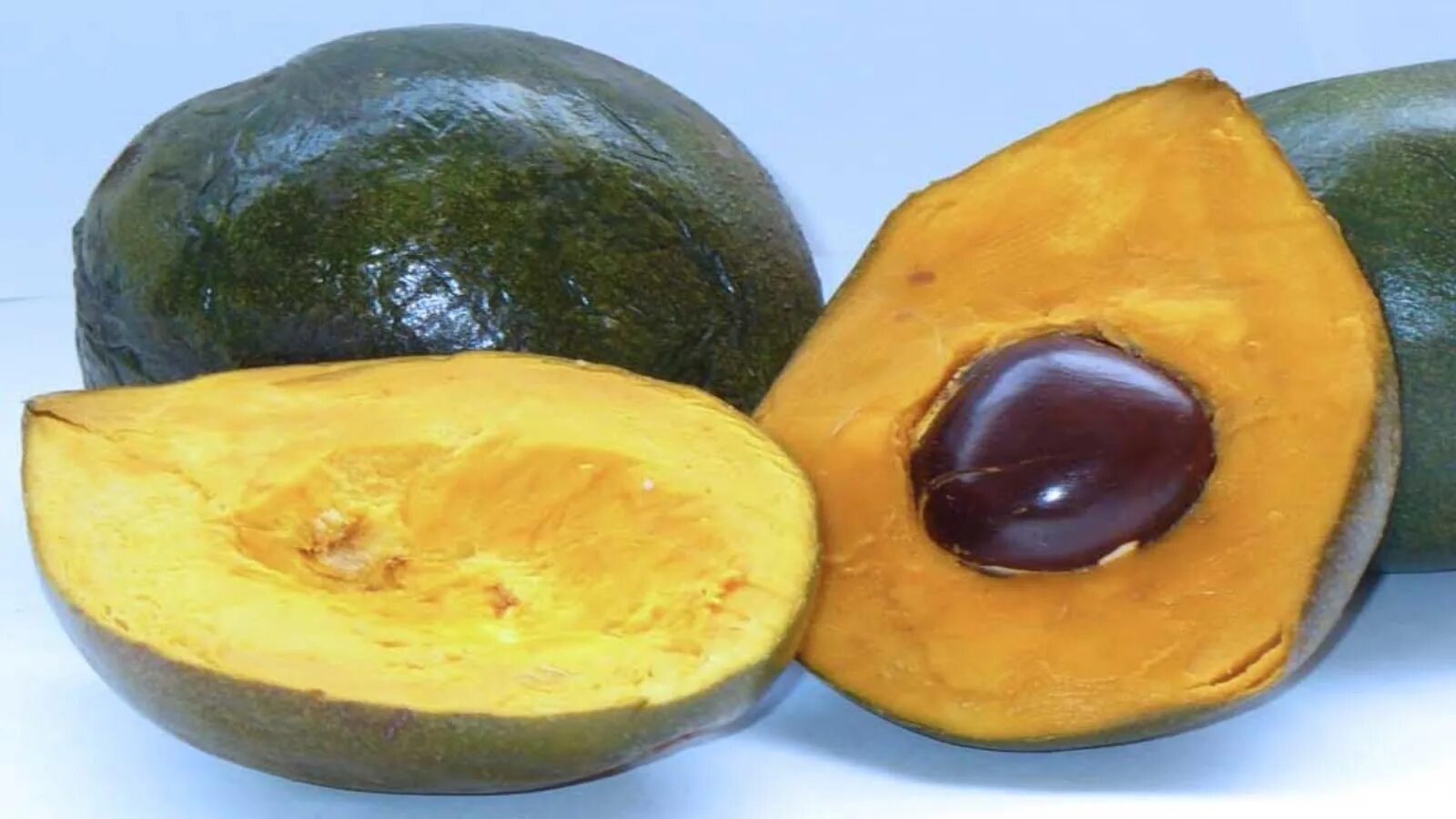 25 фруктов. Pouteria Lucuma. Лукума фрукт. Перуанский фрукт лукума. Дерево лукума плоды.
