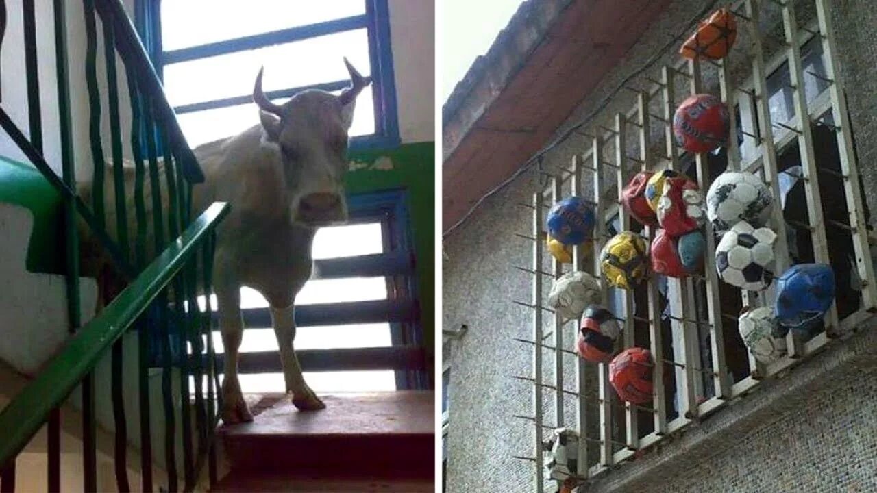 Самый худший сосед. Повезло с соседями. не повезло с соседями. когда не повезло с соседями картинки. мой ужасный сосед.
